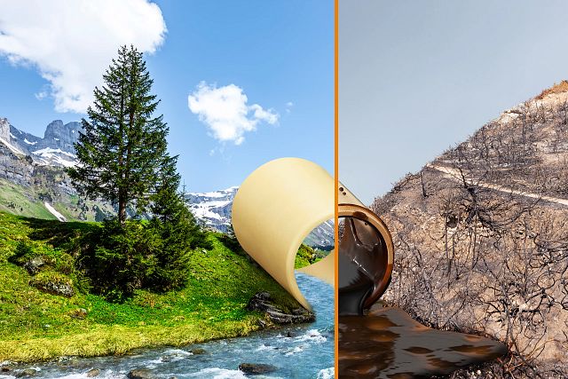 grease-free bearing vs greased metal bearing