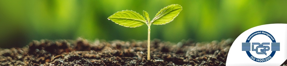 Banner with a plant used to represent ISO 14001:2015 compliance, dealing with carbon neutrality